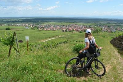 Tour en bicicleta autoguiado por los viñedos de Pfaffenheim