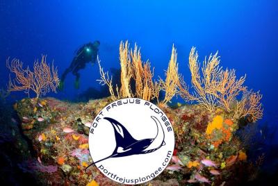 Discovery Scuba Diving Pack