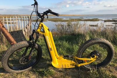 Tour guiado en scooter eléctrico