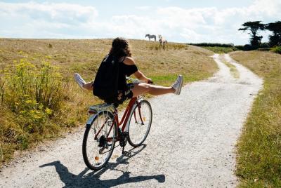 Excursión en bicicleta eléctrica en la Camarga.