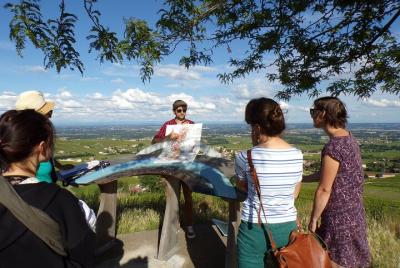 Visita guiada de Beaujolais - Salida desde Mâcon