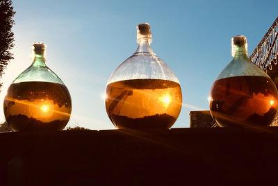 Cassis: mer, falaises et vignes