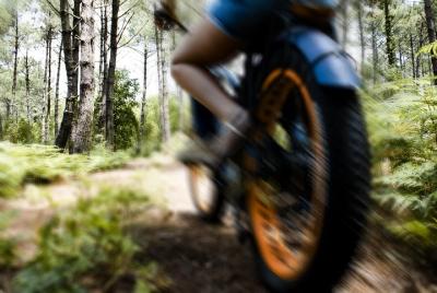 Paseo de descubrimiento