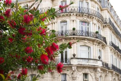 Un día de bienestar y revitalización en Montpellier