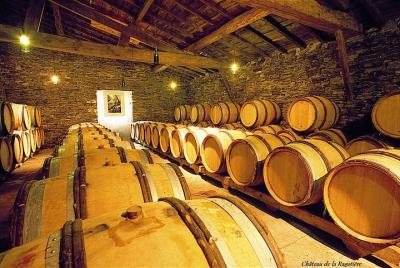 Taller de vino blanco y queso