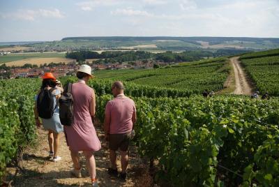 Camine en el corazón de las vides con degustación de champán cerca de Epernay Camine en el corazón de las vides con degustación de champán cerca de Epernay