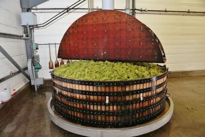 Visita a los viñedos tradicionales en Val de Livre y cata de vino Visita a los viñedos tradicionales en Val de Livre y cata de vino