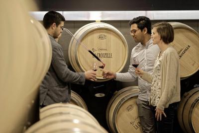 Castillos de Saint-Emilion: visita, degustación e introducción a  Castillos de Saint-Emilion: visita, degustación e introducción a