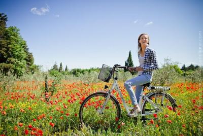 Tour de medio día desde St Rémy-de-Provence en bicicleta eléctric