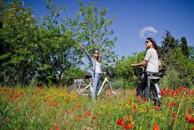 Alquiler de bicicletas eléctricas en Provenza desde Saint-Rémy-de