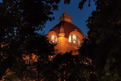 Excursión guiada en bicicleta por Estrasburgo de noche Excursión guiada en bicicleta por Estrasburgo de noche
