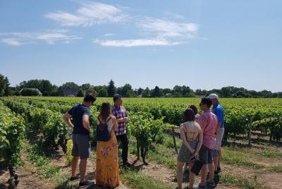 Tour de vino de medio día por el valle del Loira desde City of Tours: 2 catas de vino en Vouvray Tour de vino de medio día por el valle del Loira desde City of Tours: 2 catas de vino en Vouvray