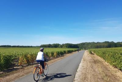 Recorrido en bicicleta eléctrica por el valle del Loira desde Amboise: viñedos de Amboise y Vouvray Recorrido en bicicleta eléctrica por el valle del Loira desde Amboise: viñedos de Amboise y Vouvray