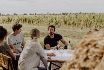 Visita a los viñedos y cata de vinos en Davron Visita a los viñedos y cata de vinos en Davron