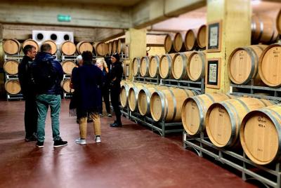 Tour privado de VINO y ARQUEOLOGÍA con guía local, comienza desde Tour privado de VINO y ARQUEOLOGÍA con guía local, comienza desde