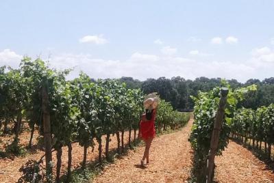 Tour por Locorotondo y cata de vinos.