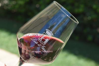 Degustación guiada de vino y aceite de oliva.