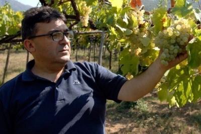 Cata de vinos Royal Farm