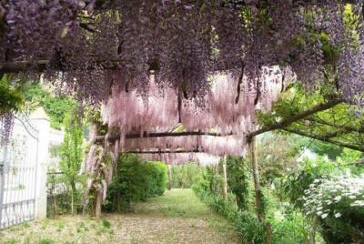 Jardín secreto del alma