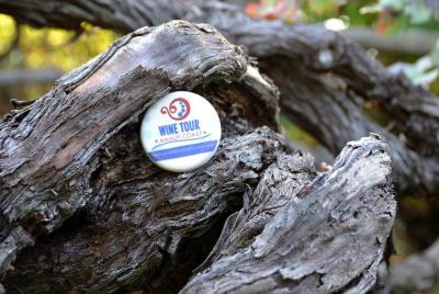 Servicio de Transporte de Familia o Amigos para las Experiencias