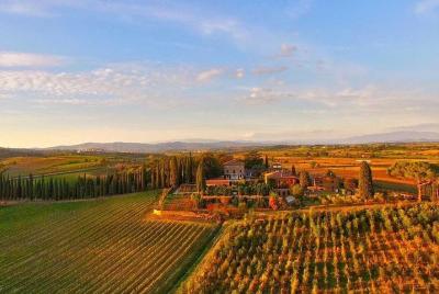 Arezzo: experiencia de cata de vinos en el área de Valdichiana Arezzo: experiencia de cata de vinos en el área de Valdichiana