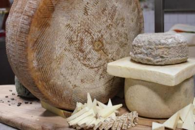 Pienza: tour de queso pecorino y degustación en una granja Pienza: tour de queso pecorino y degustación en una granja