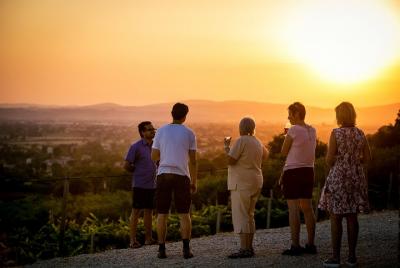 Cata de vinos al aire libre con vista panorámica