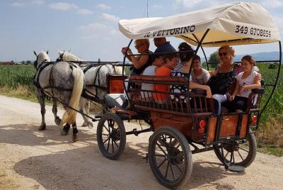 En Carrozza en los lugares donde San Francisco predicó a los pája