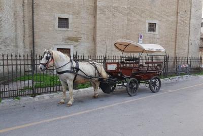 paseando en un carruaje en la campiña de Assisane