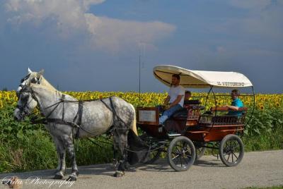 Tour de comida y vino