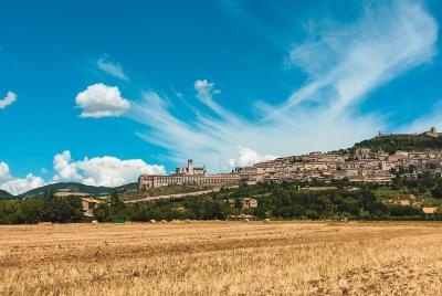 Tesoros de Asís y madera de San Francisco