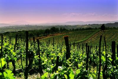 Tour privado a una bodega en Franciacorta y Bérgamo desde Milán c Tour privado a una bodega en Franciacorta y Bérgamo desde Milán c
