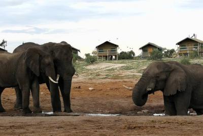 Johannesburgo o Gaborone a las Cataratas Victoria 10 días A TRAVÉ Johannesburgo o Gaborone a las Cataratas Victoria 10 días A TRAVÉ