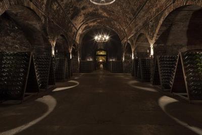 Visita a la bodega y degustación. Visita a la bodega y degustación.