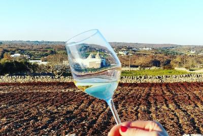 Paseo por el viñedo y cata de vinos. Paseo por el viñedo y cata de vinos.