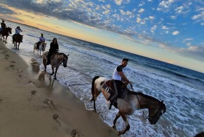 Paseo a caballo de 2 horas en el Parque de las Dunas Costeras Paseo a caballo de 2 horas en el Parque de las Dunas Costeras
