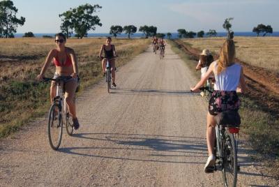 Tour en bicicleta al atardecer Tour en bicicleta al atardecer