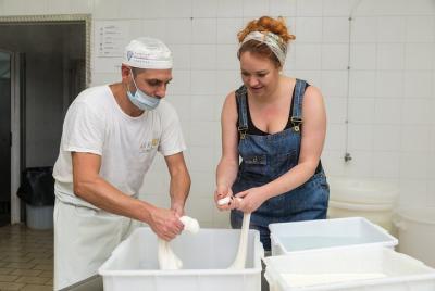 Experiencia de elaboración de queso: aprenda a hacer queso en el  Experiencia de elaboración de queso: aprenda a hacer queso en el