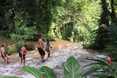 Tour compartido de Konoko Falls y Tropical Garden desde Runaway B Tour compartido de Konoko Falls y Tropical Garden desde Runaway B