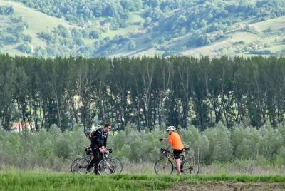  Paseo en bicicleta en el área del parque del Etna con almuerzo e