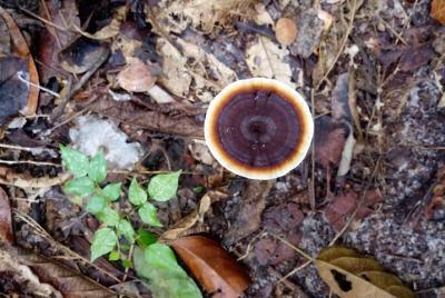 Conexión con la Naturaleza