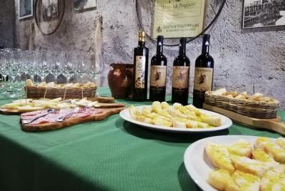 Degustación de vinos y productos típicos y visita a la bodega exc