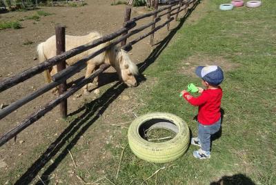  Tour para niños para descubrir Civitavecchia y visita a la Granj