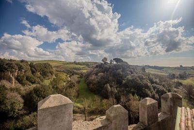 Traslado privado: aeropuerto de Ciampino a Ceri o viceversa