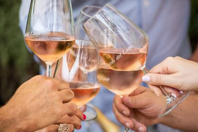 Tour y degustación de vinos GardaLake en Lazise