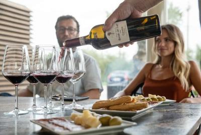 Tour de degustación de vinos tintos de Garda y Valpolicella