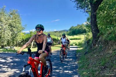 Tour en bicicleta entre viñedos y cata de vinos en Lazise