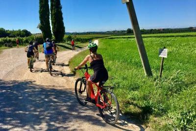 Tour en bicicleta y cata de vinos en Colà di Lazise