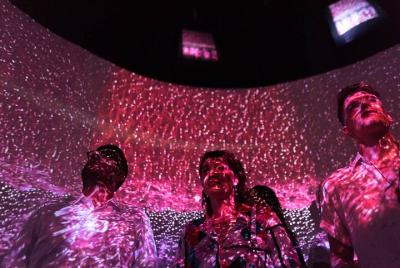 Experiencia de amantes del vino en la finca