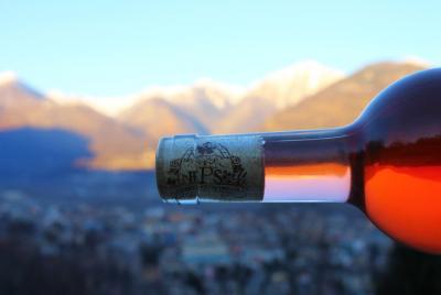 Cata de vinos en los viñedos de Ossola. Cata de vinos en los viñedos de Ossola.